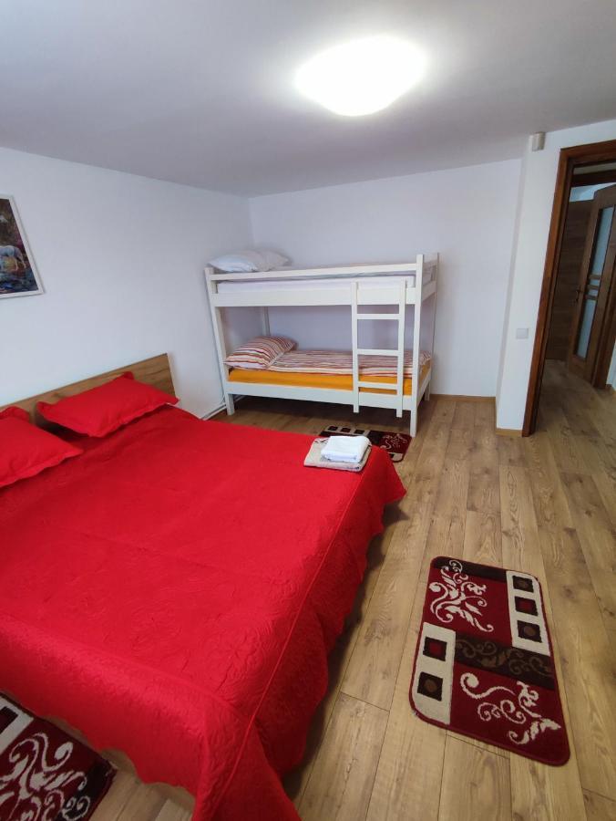 Casa Daiana - Toplita Extérieur photo